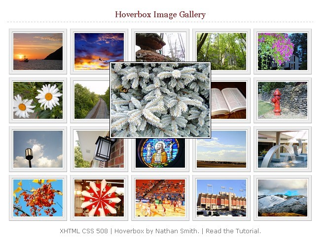Kết quả hình ảnh cho image Image gallery with hover box preview