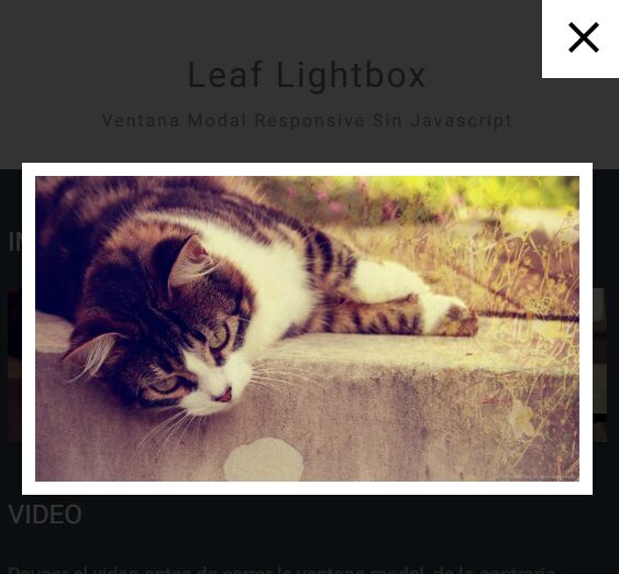 Leaf-Lightbox