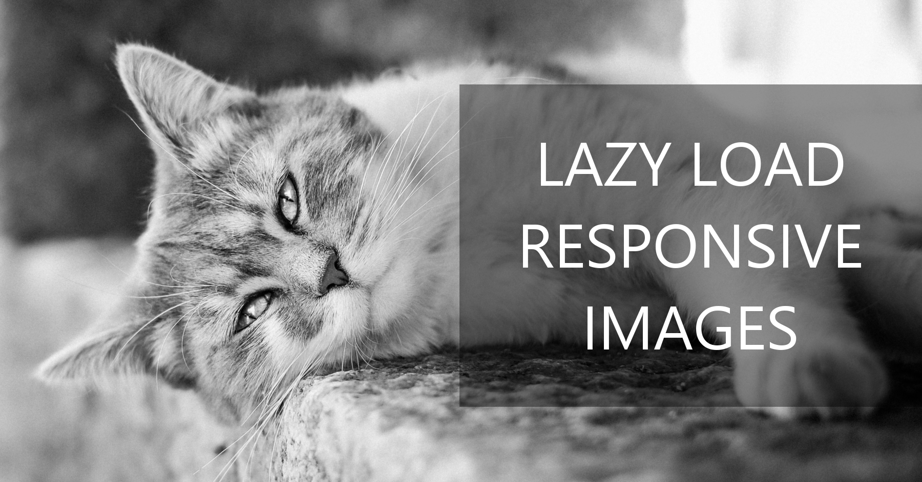 responsively-lazy