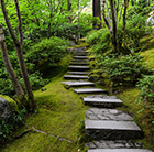 Woodsy Stairs