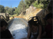 Grizzly Rapids