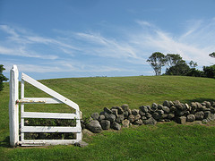 Plants: image 1 0f 9 thumb