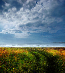 Plants: image 1 0f 9 thumb