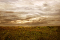 Plants: image 1 0f 9 thumb