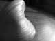 What do you think this is?