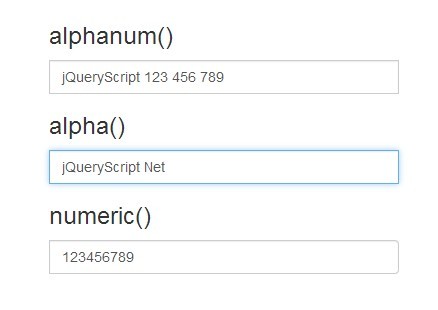 A jQuery Plugin To Restrict Characters In Text Field - Alphanum
