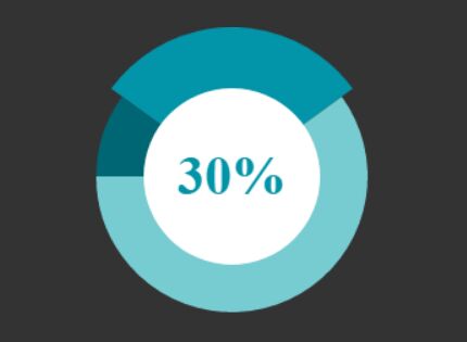 Html Pie Chart