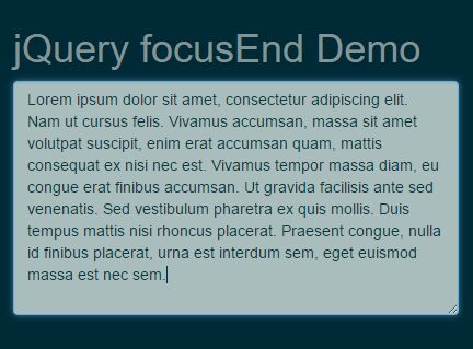 Auto Set Focus On Text Field Or Editable Element - jQuery focusEnd