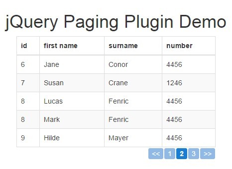 Client-side HTML Table Pagination Plugin with jQuery - Paging