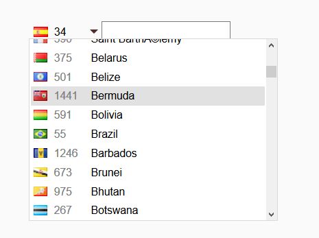 Countries iso codes json