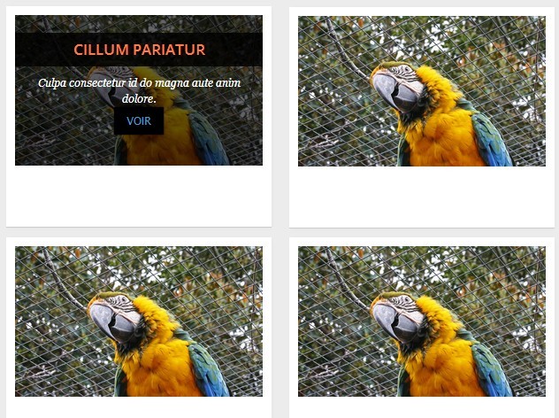 Create An Infinite Photo Gallery with jQuery and Ajax