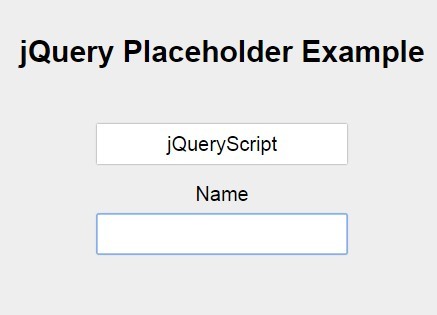 Create Animated Placeholders with jQuery and CSS - placeholder.js