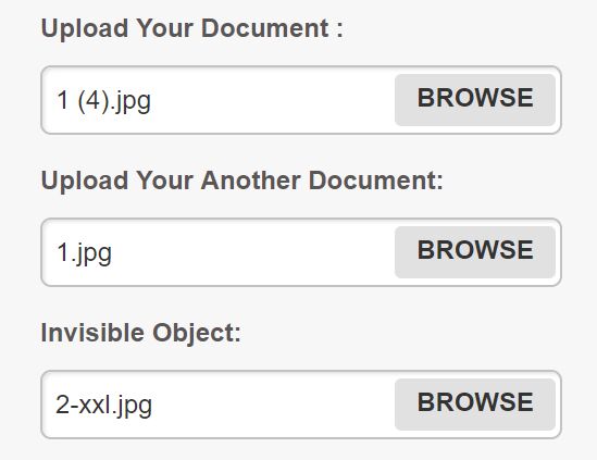 Cross-browser Custom File Input Plugin For jQuery