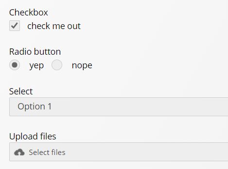 Custom Select, Checkbox, Radio Button And File Input - jQuery formElements