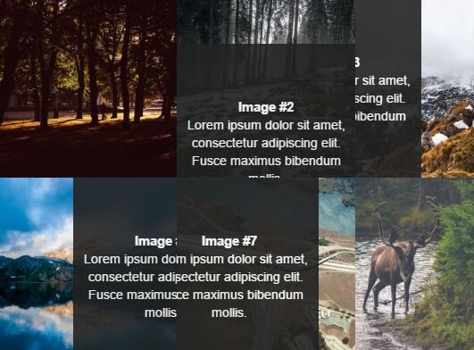 Direction-aware Gallery Hover Effect With jQuery - SnakeGallery