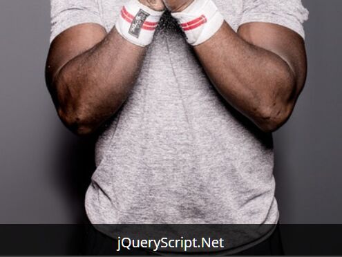 Easy & Customizable Image Caption Plugin With jQuery - picla