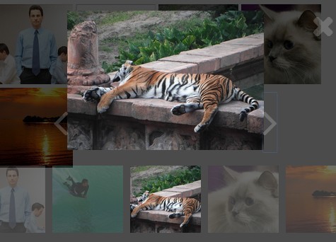 Easy Responsive Photo Gallery Plugin with jQuery