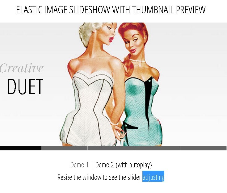 Flexible Slidershow with Thumbnail