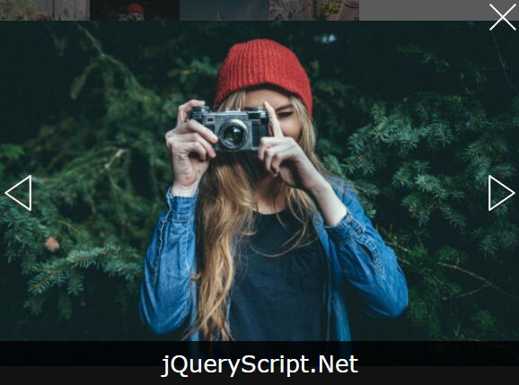 Fullscreen Image Gallery Popup With jQuery - fs-gal