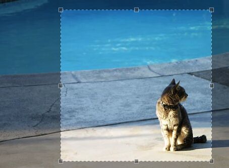 Feature-rich Image Cropping Plugin - jQuery Jcrop.js