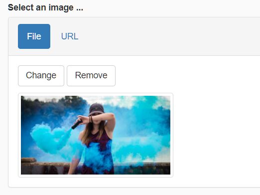 Image Upload Preview Plugin With jQuery And Bootstrap - img-upload