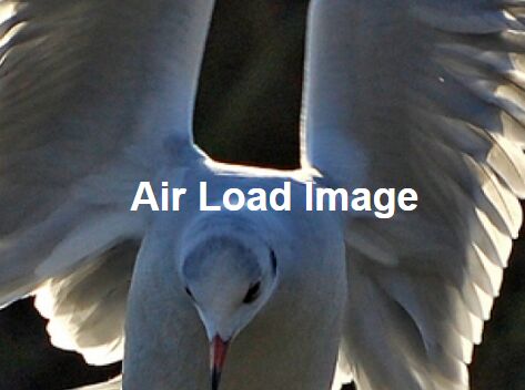 Lazy Load Images & Backgrounds As Needed - jQuery Air Load Image