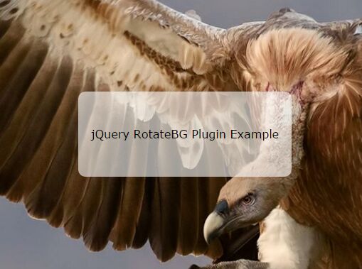 Minimal Crossfading Background Slideshow Plugin With jQuery - RotateBG