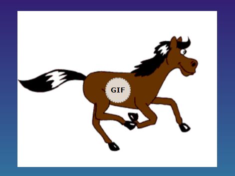 Play Animated GIF On Hover - jQuery Giffy.js