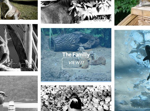 Responsive Fluid Flickr Gallery with jQuery - Nice Gallery