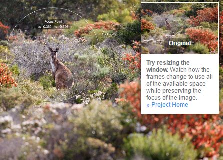 Smart Responsive Image Cropping/Resizing On Resize - jQuery FocusPoint