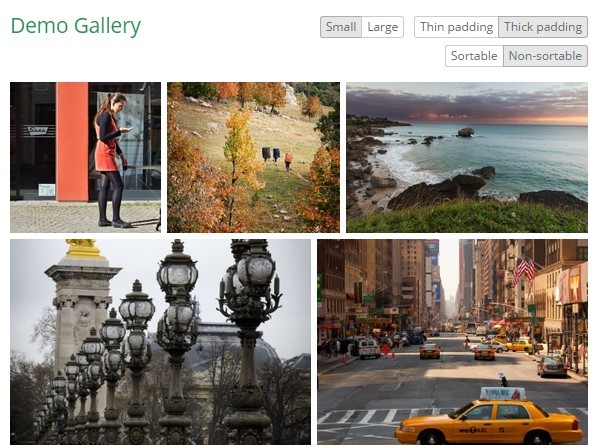 Responsive Photo Grid Plugin with jQuery - Sortable Photos