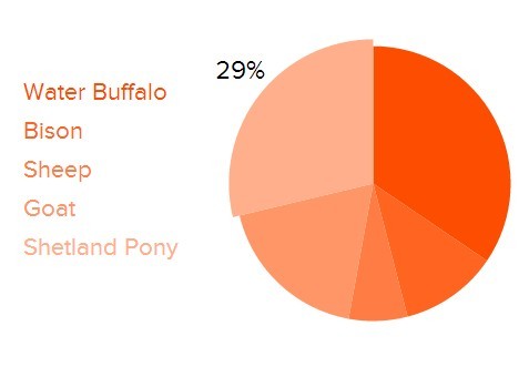 Responsive Pie Chart Plugin with jQuery and Snap.SVG - Pizza