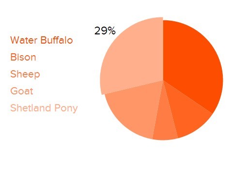 Donut Chart Using Jquery