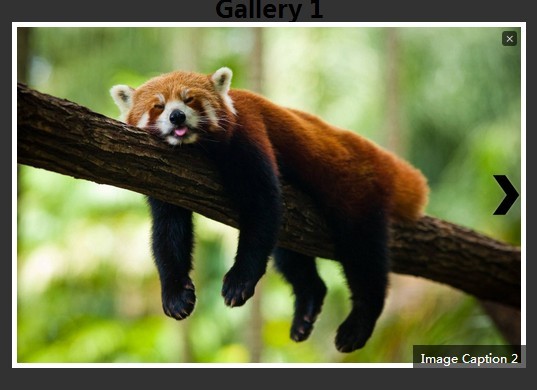 Responsive jQuery/Html5 Based Gallery Lightbox - mlightbox