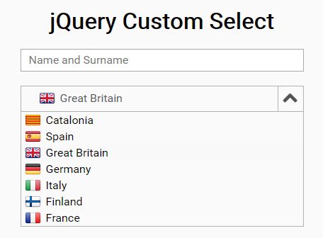 Custom Dropdown Select With Option Icons - customSelect