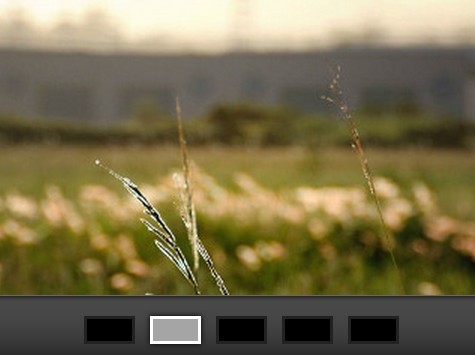 Simple Auto-sliding Image Carousel Plugin with jQuery - Snail Slider