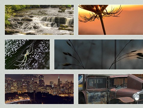 Simple Dynamic Tiled Photo Gallery Plugin with jQuery - jLastic