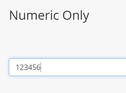 Simplest Numeric Input Plugin With jQuery - Numeric Only