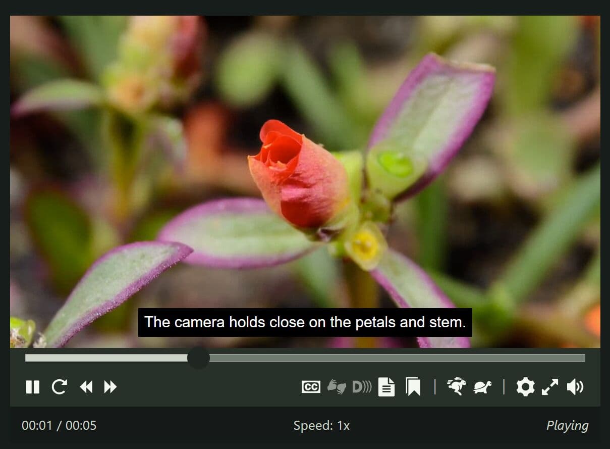 Able Player: Accessible HTML5 Media Player with Captions
