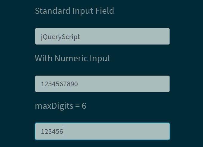 Allow Only Number In HTML Text Box - jQuery numericInput.js