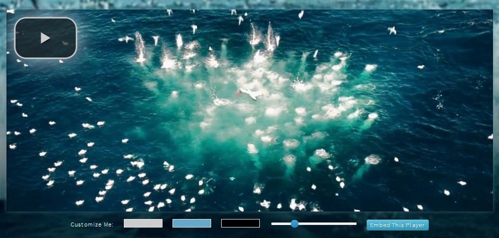 video.js