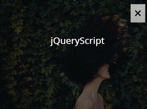 Cookie-controlled Fullscreen Modal - jQuery Simple Overlay