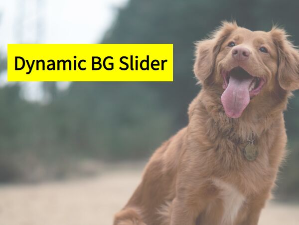 Dynamic Background Image Slider Plugin - jQuery bgslider