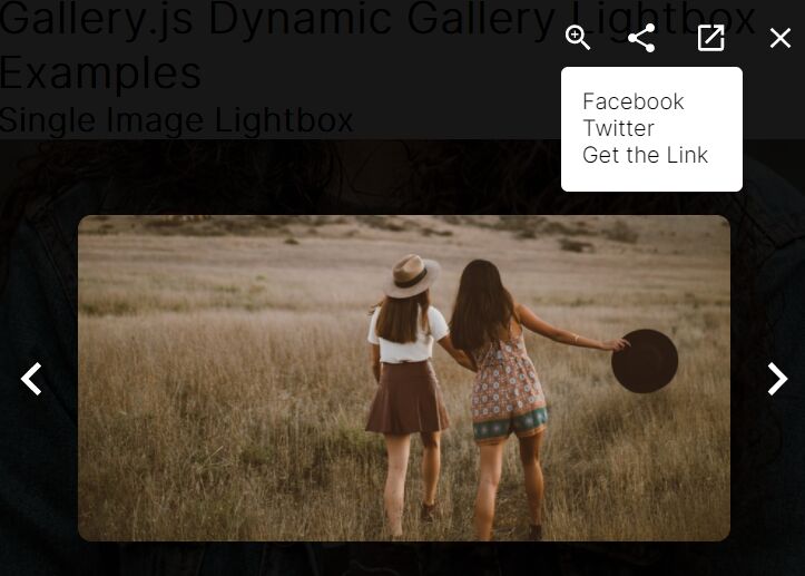 Dynamic Gallery Lightbox In jQuery - Gallery.js