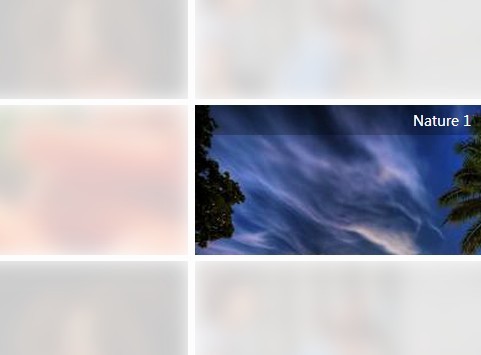 jQuery and CSS3 Based Gallery Filter with Blur Effects