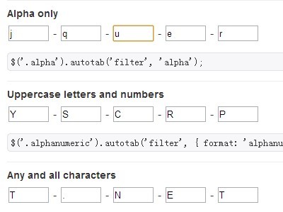 jQuery Plugin For Auto Tab Form Fields - autotab