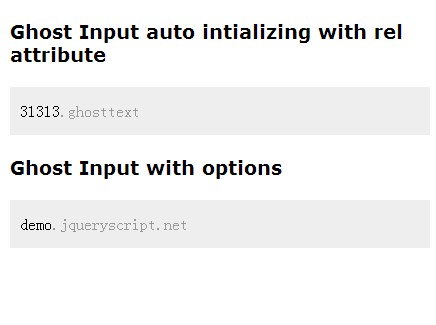 jQuery Plugin For Better SubDomain Name Input - ghostInput