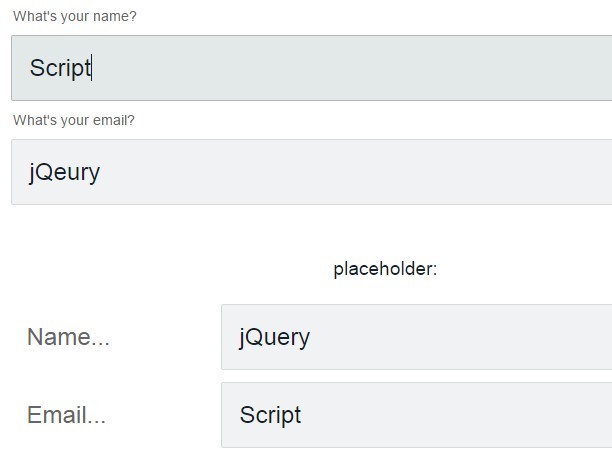 jQuery Plugin For Cool Animated Input Labels