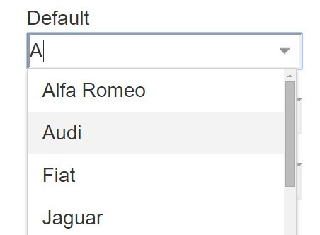 Create Searchable Dropdown Select With jQuery - selectstyle