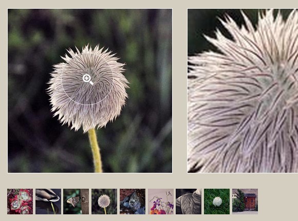 jQuery Plugin For Image Zoom On Hover - picZoomer
